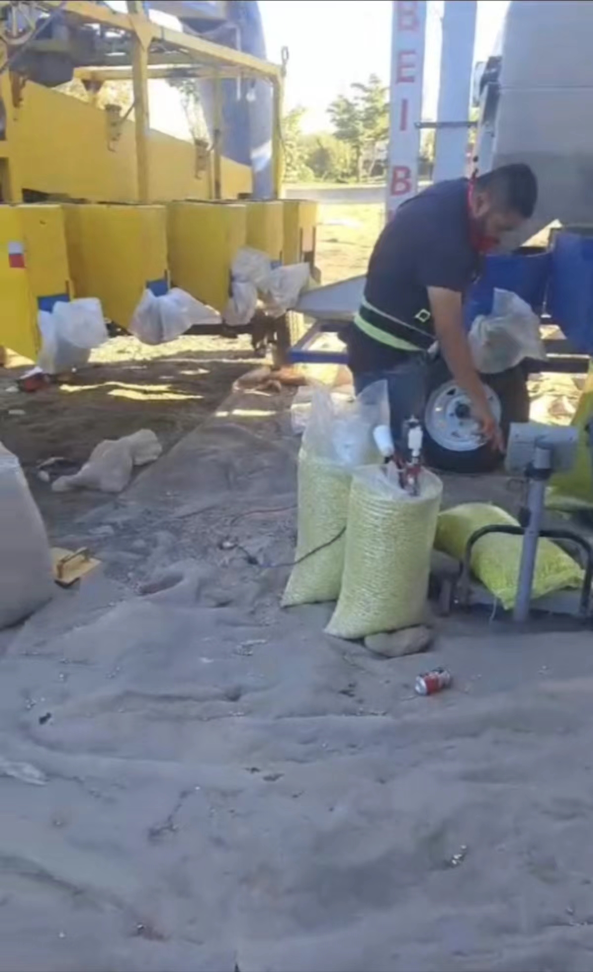 Magnetic separator cleans Frijol reyna in Mexico