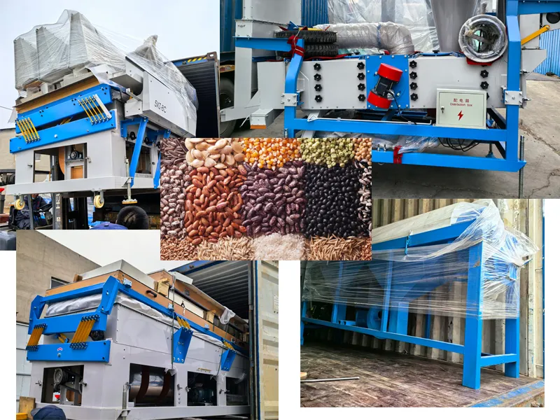 Beans cleaner to Egypt