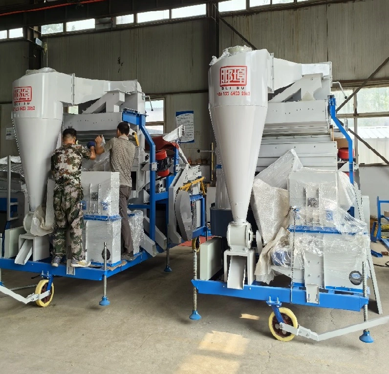 sesame and mung beans in  Myanmar