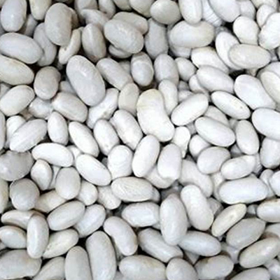 We and Mexican Agriculture