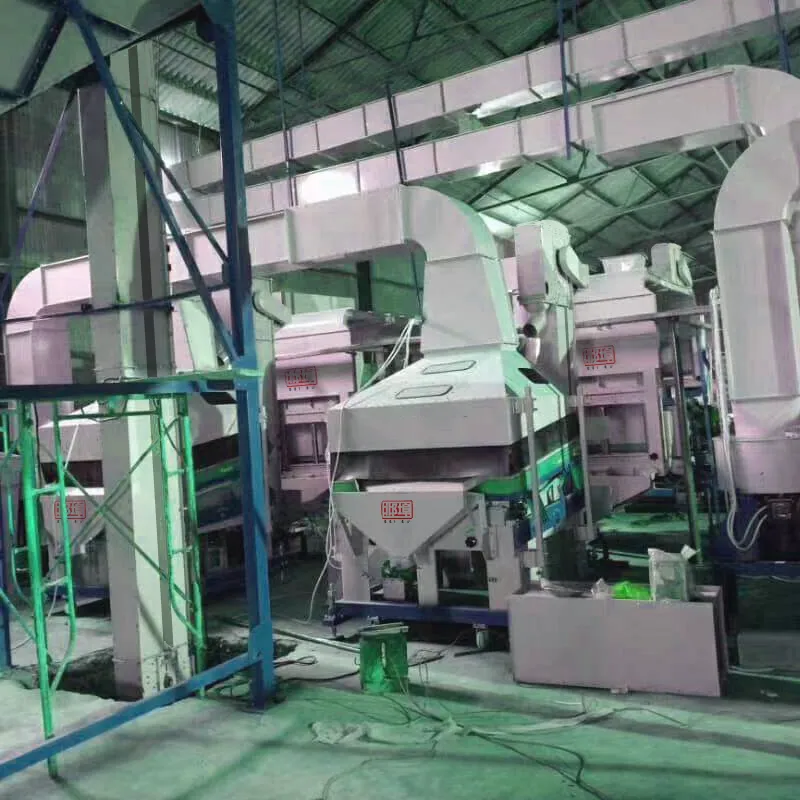 sesame cleaning plant is working