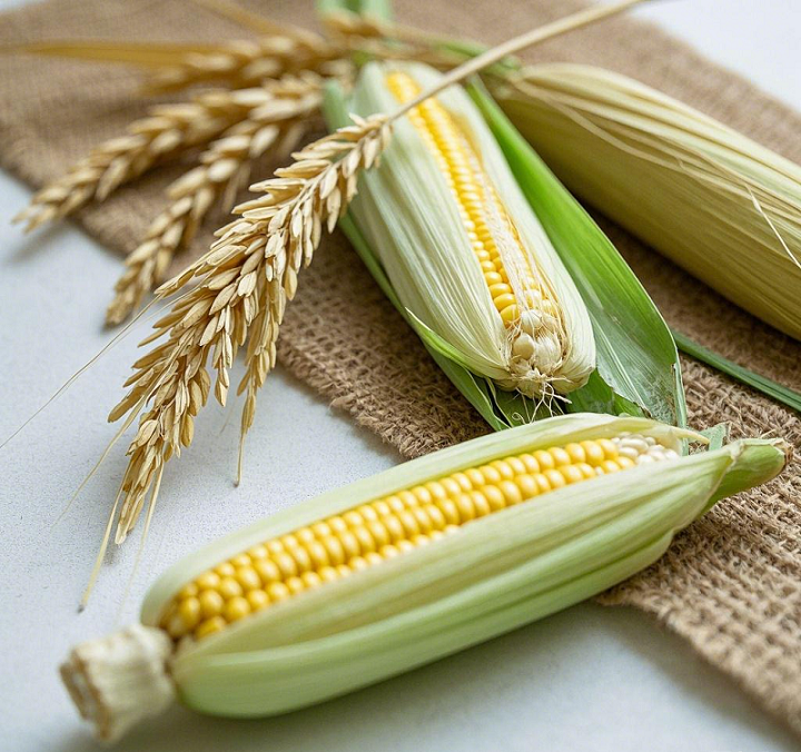 How to choose a high-quality grain seed cleaning machine - Beibu Machinery answers your questions