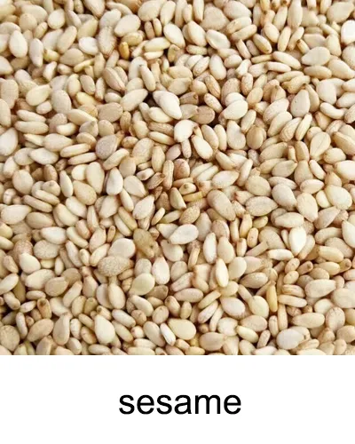 sesame cleaning machine