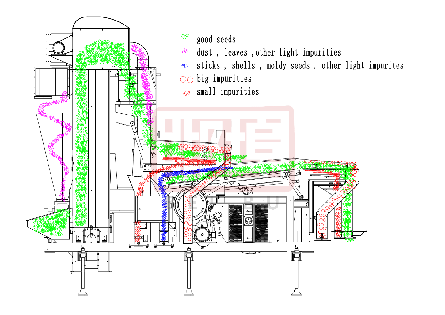 Maize Cleaning Machine-Hebei Beibu Machinery Technology Co.,LTD