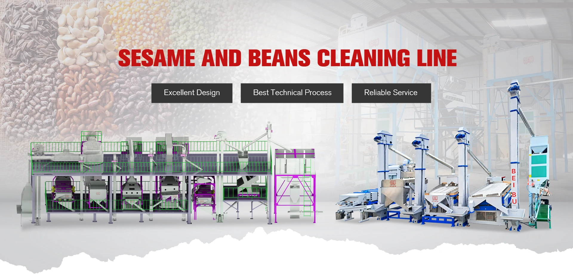 color sorter suppliers