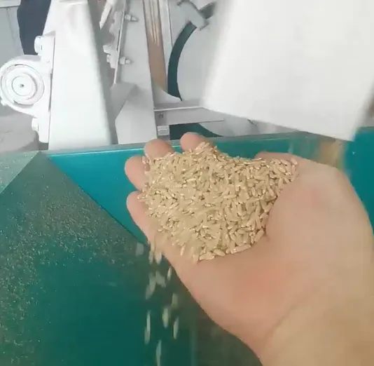 The Complete Guide to Small Paddy Processing Machines: From Field to Perfect White Rice