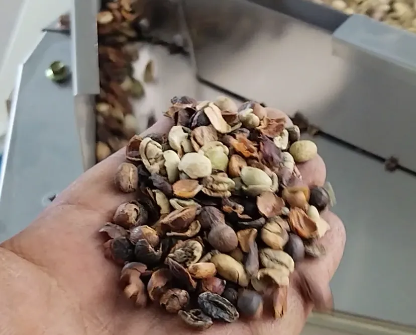 coffee impurities the impurities removed by the machine