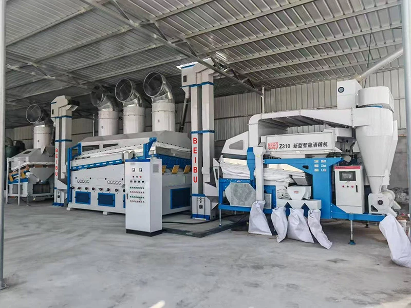 A large-scale chili seed cleaning production line has been delivered.