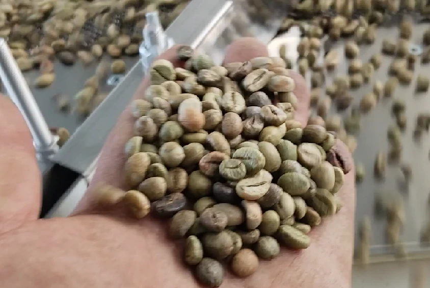 BEIBU coffee bean cleaning production line project report