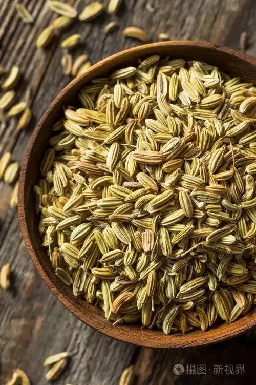 Fennel Seeds Cleaning Machine-Hebei Beibu Machinery Technology Co.,LTD