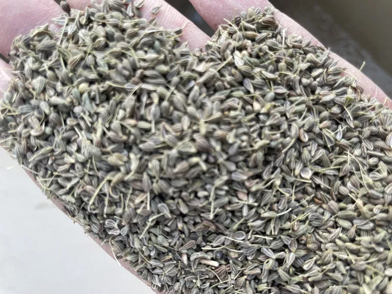 Anise Seed Fennel Seed Cleaning Machine-Hebei Beibu Machinery Technology Co.,LTD