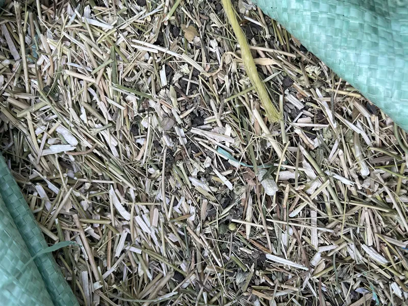 Anise Seed Fennel Seed Cleaning Machine-Hebei Beibu Machinery Technology Co.,LTD