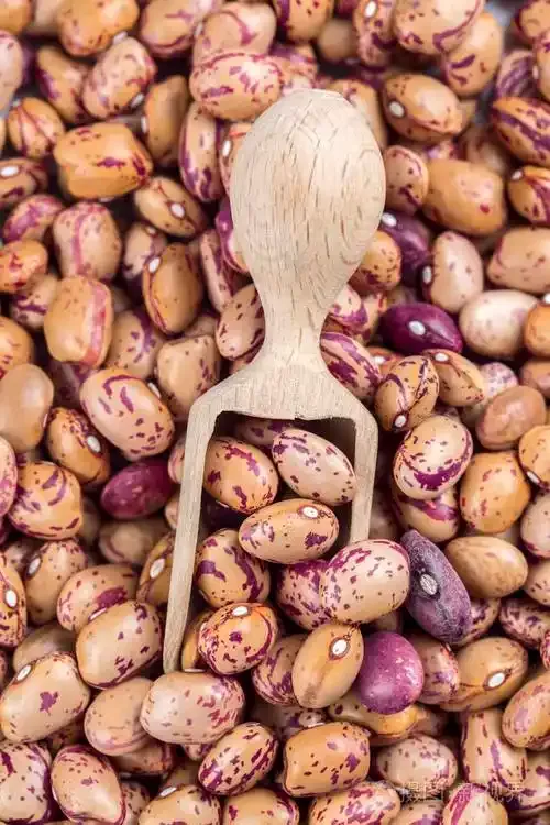 How the Magnetic Separator Clean Pinto Beans to Remove the Hard Clods and Soils-Hebei Beibu Machinery Technology Co.,LTD