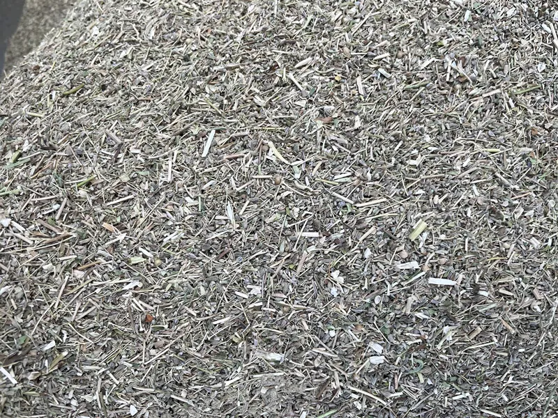 Anise Seed Fennel Seed Cleaning Machine-Hebei Beibu Machinery Technology Co.,LTD