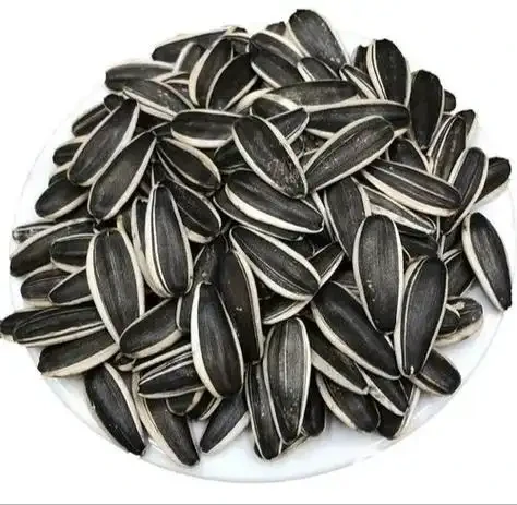 Sunflower Seed Cleaning Machine Gravity Separator-Hebei Beibu Machinery Technology Co.,LTD