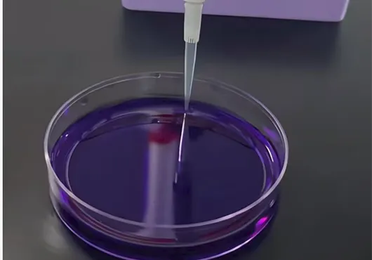 Read More About pipette filtration