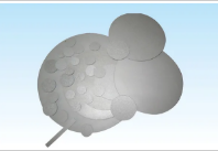 Stainless Steel Filter Disc And Sintered Metal Filtration