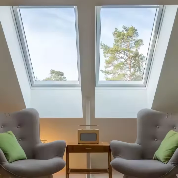Aluminum Fixed Skylight Roof Window