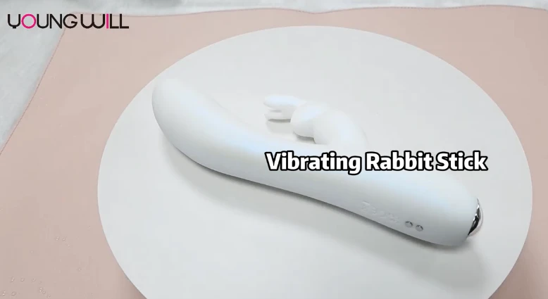 10 Function Silicone Rabbit Vibrator