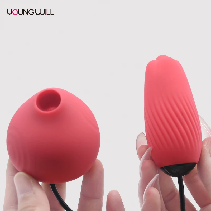 2-in-1 Clitoral Suction Stimulator with Egg Vibrator