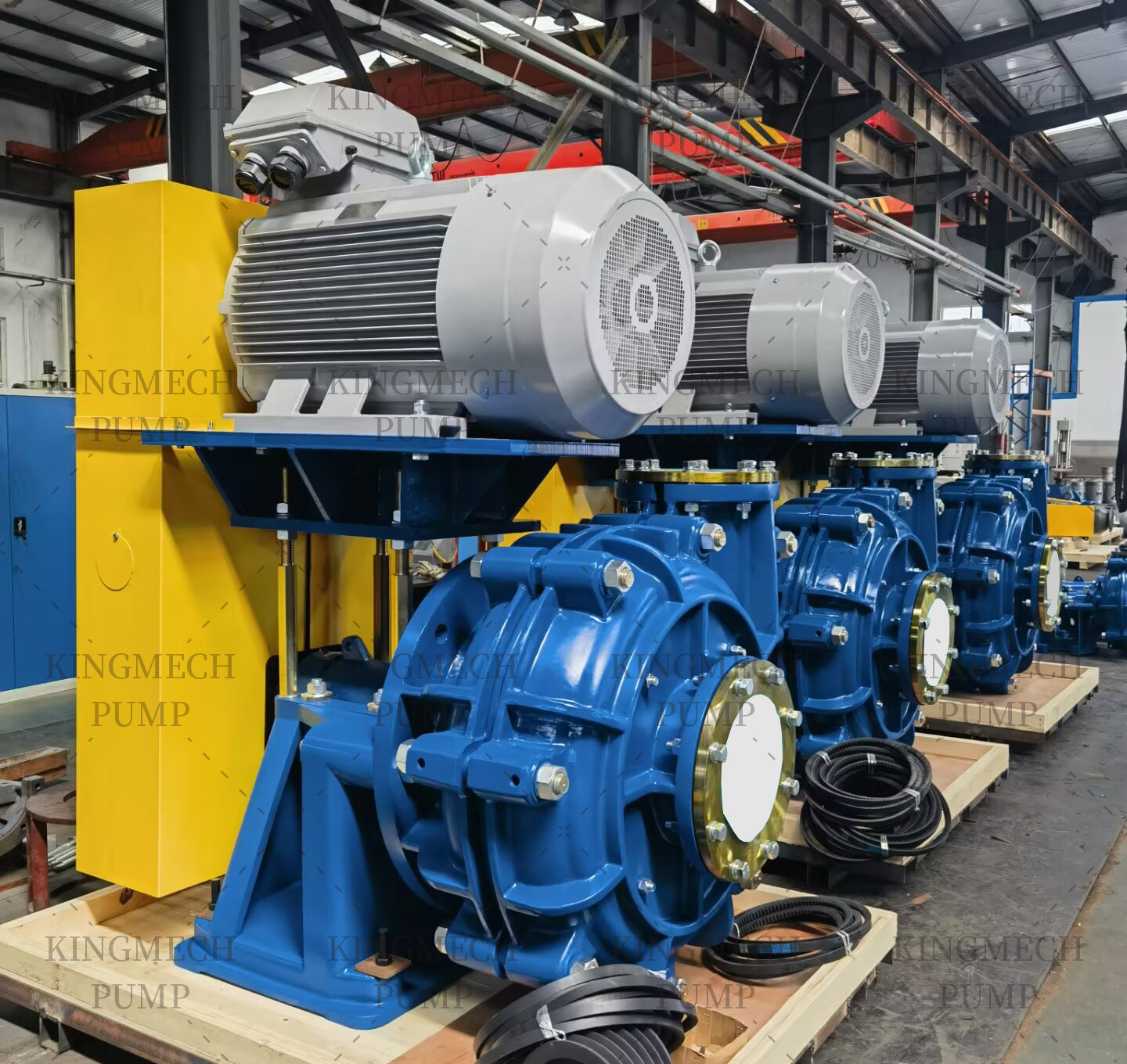 Reliable Cyclone Pump for Chemical Feeder & Heavy Duty Use