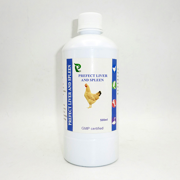 Natural Herbal Solutions for Poultry Health Maintenance
