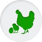 detail forFeed Premix