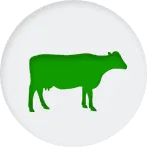 detail forVeterinary Medicines