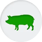 detail forHerbal Medicine for Animal