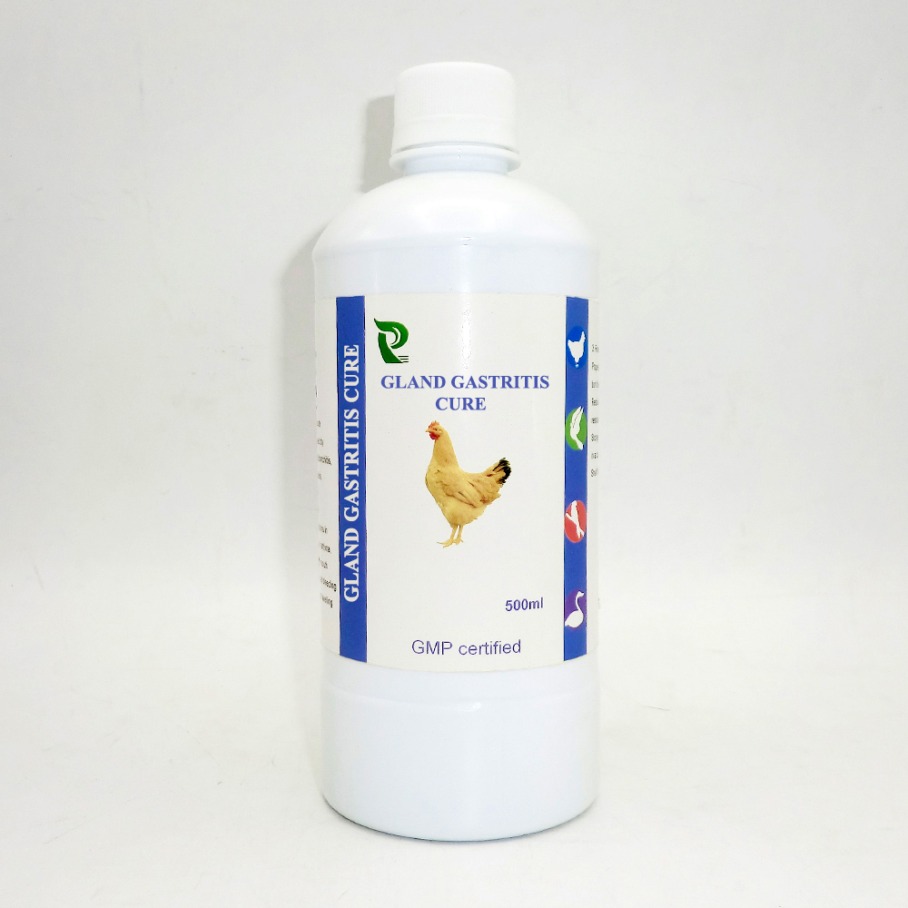 The Use of Premix in Poultry Feed: Global Benefits & Practical Insights