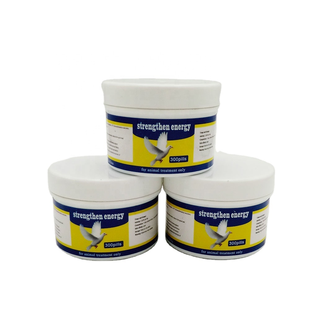 Discount Pet Meds: Vet-Approved, Low Prices & Fast Shipping