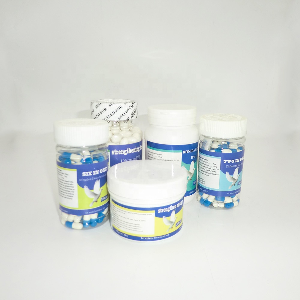 Racing Pigeon Medication: Top Antibiotics for Peak Performance.