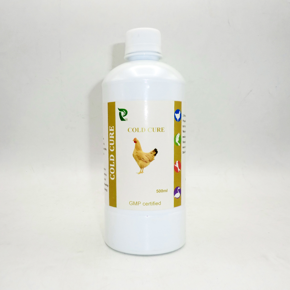 Herbs for Poultry: Natural Immunity Boost & Worm Control?