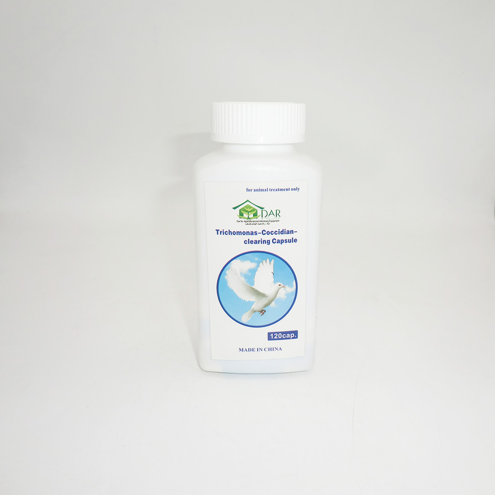 Drugs for Pets Online – Vet-Trusted, Fast Shipping, Low Prices