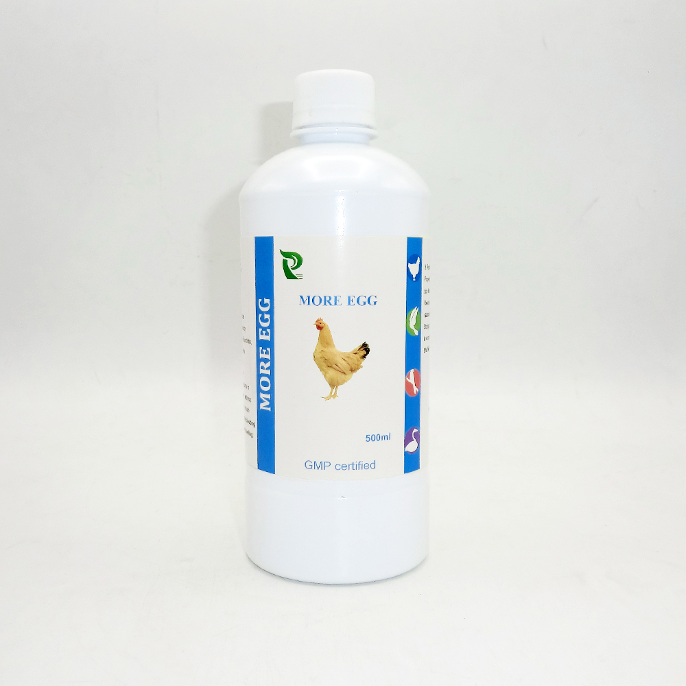 Natural Poultry Wormer: Safe & Effective Herbal Solutions