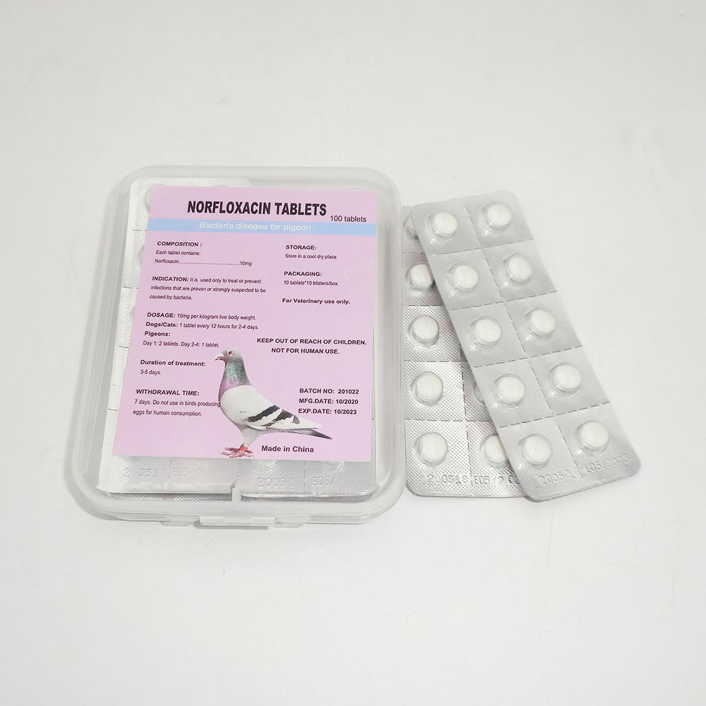 Norfloxacin Tablet – Fast UTI Relief & Broad-Spectrum Care
