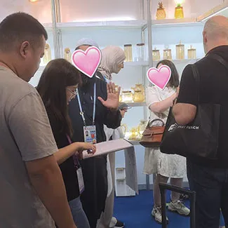 porcelain vs ceramic plate