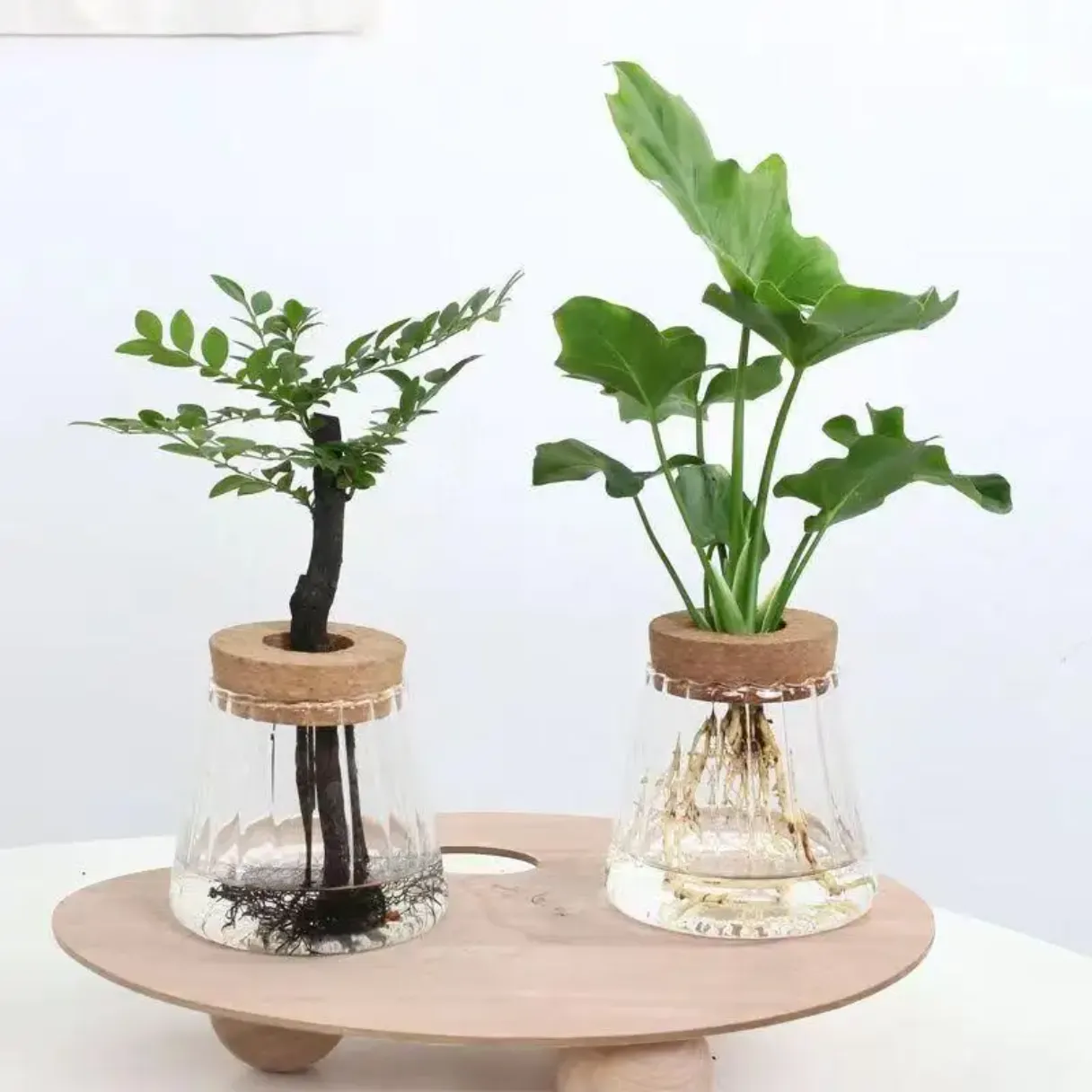 Borosilicate Glass Hydropnic Planter Jar  with Cork Lid fish Jar