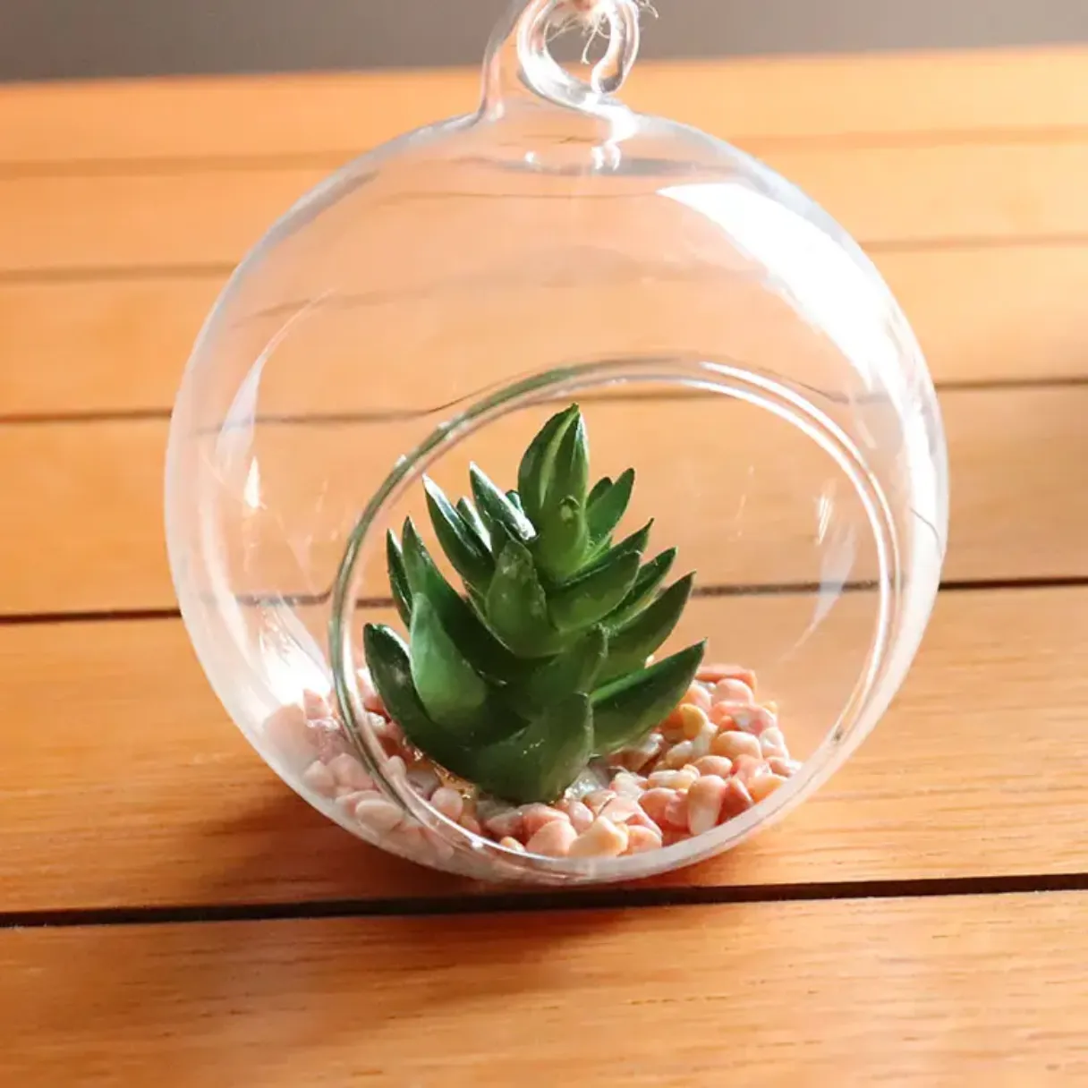 8cm*8cm  Hanging Indoor Artficial  Plant Globe Clear Glass Vase Terrarium Plants Pot Ball