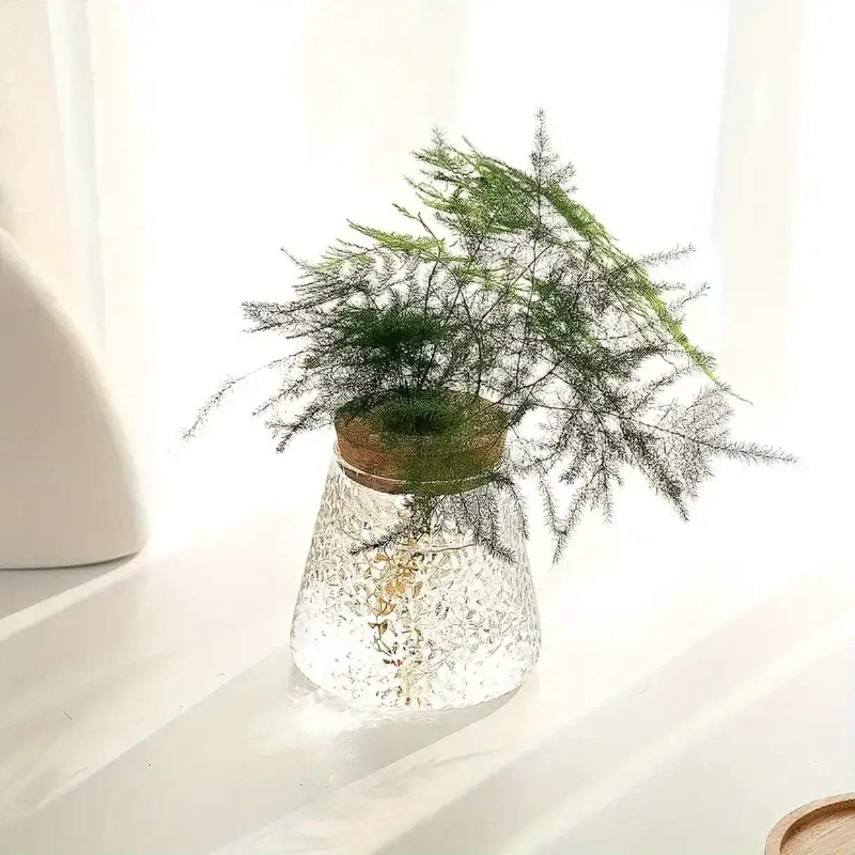 Desktop Borosilicate Glass Terrarium Jar Vase for Home Decoration
