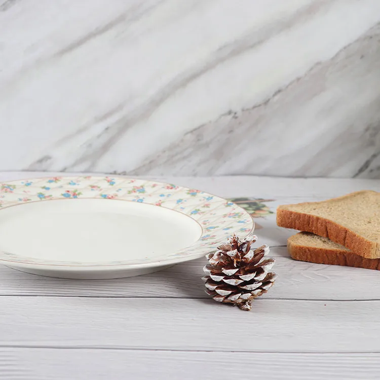 Healthy Ceramic Plates: Good for Health & Safe Dining