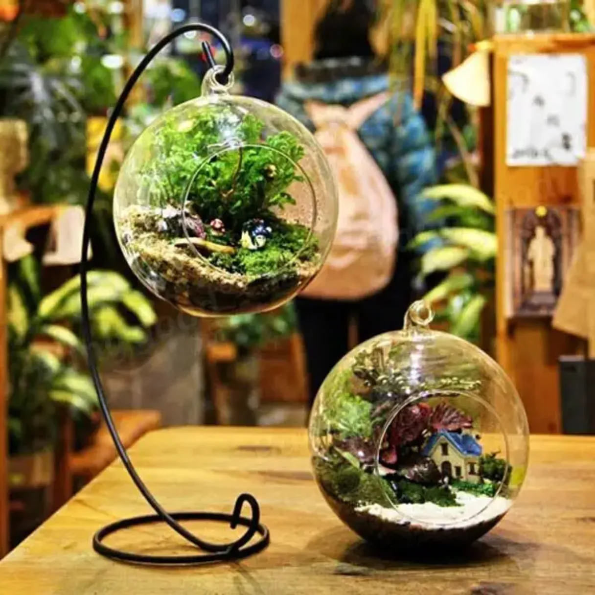 8cm*8cm  Hanging Indoor Artficial  Plant Globe Clear Glass Vase Terrarium Plants Pot Ball
