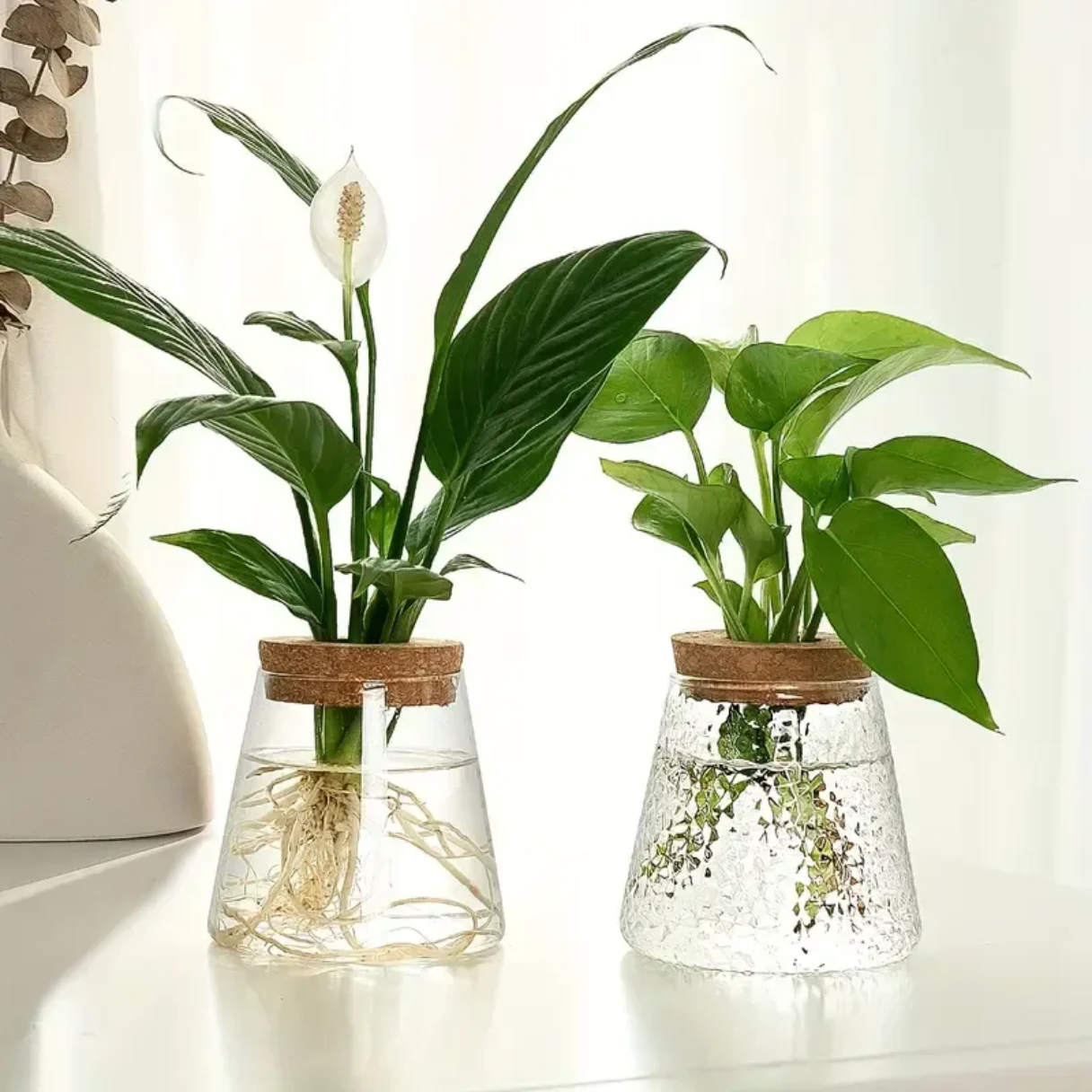 Desktop Borosilicate Glass Terrarium Jar Vase for Home Decoration