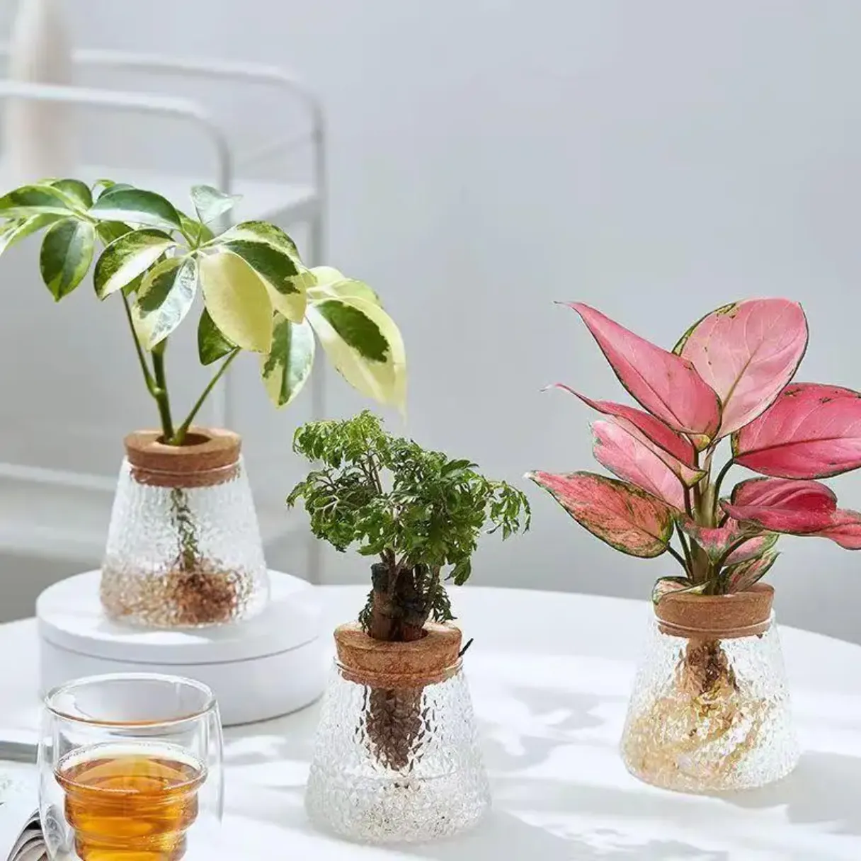 Borosilicate Glass Hydropnic Planter Jar  with Cork Lid fish Jar