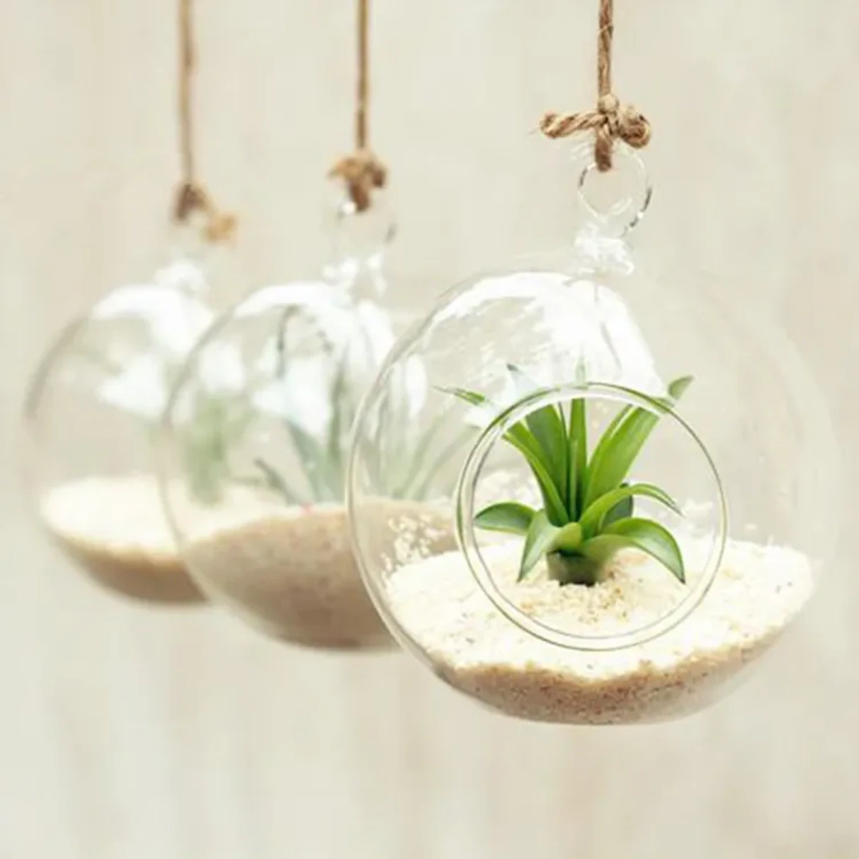 8cm*8cm  Hanging Indoor Artficial  Plant Globe Clear Glass Vase Terrarium Plants Pot Ball