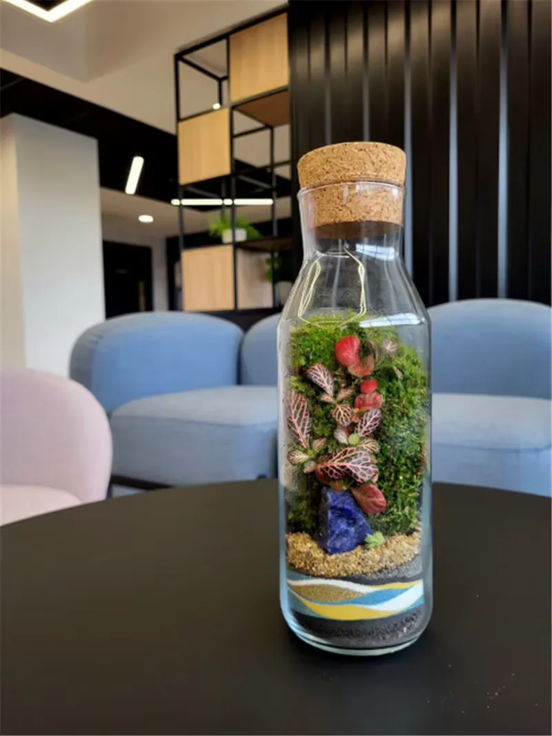 Read More About glass jar with handle