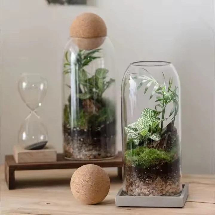 Creative Terrarium Hydroponic Plant Vase Succulent Pot Container