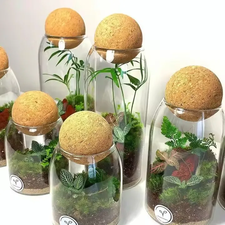 Read More About wooden lid glass container