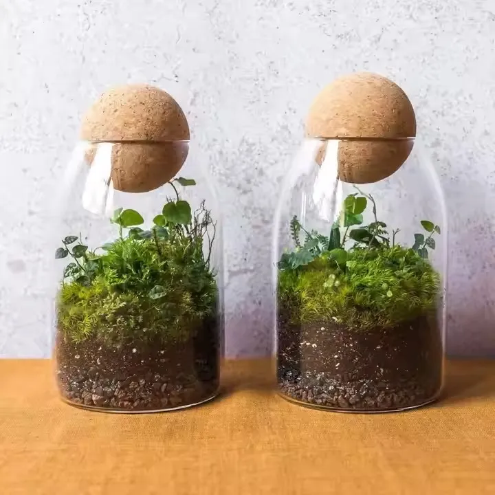 Read More About bamboo lid storage containers