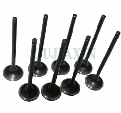 Exhaust Valve Design Configuration Analysis